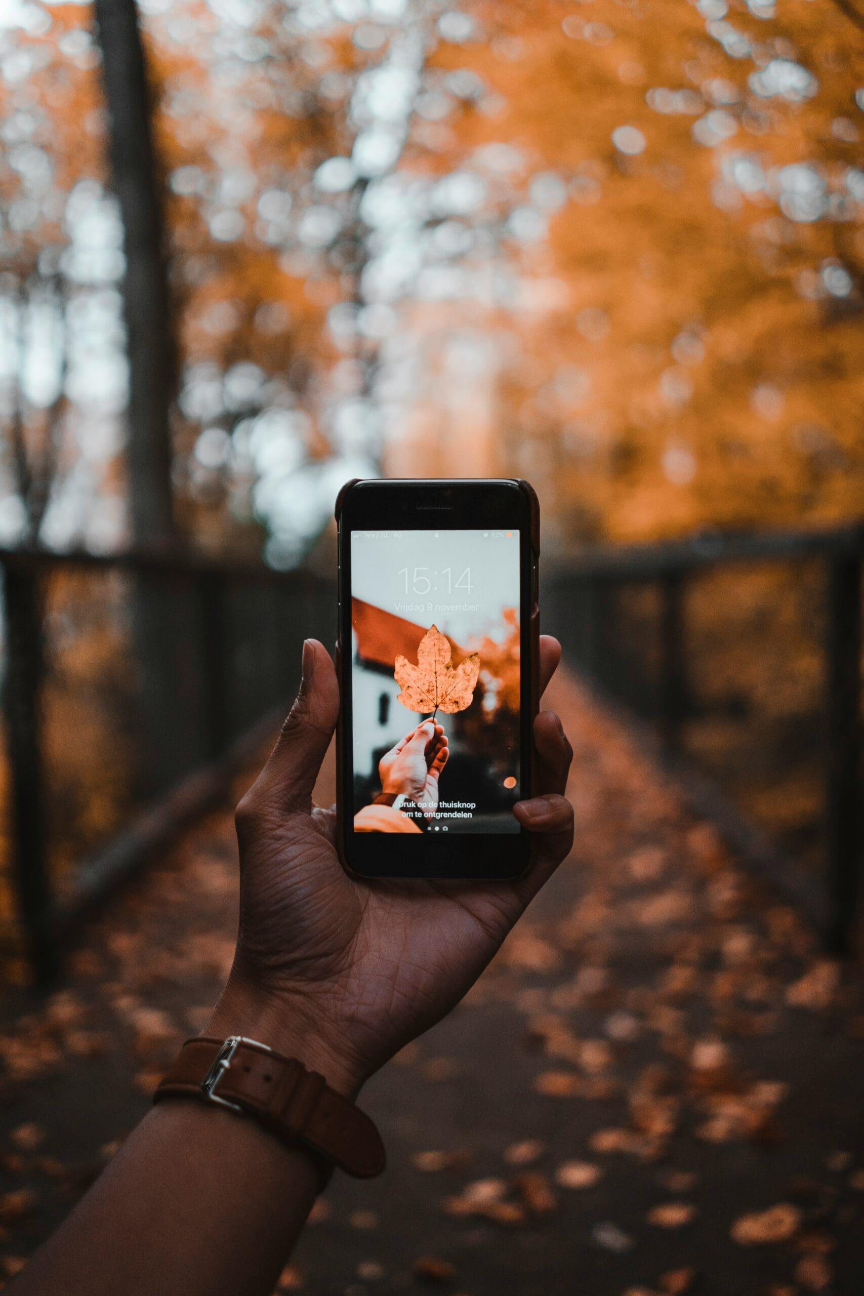 September Marketing Ideas to Boost Business 2 septemberfall2 scaled